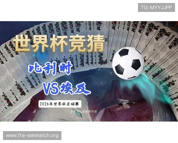 世界杯比利时对阵埃及的反击战术分析与比赛亮点解读